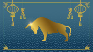 Buffle - Deuxième signe de l'astrologie chinoise