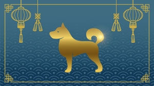 Chien - Onzième signe de l'astrologie chinoise