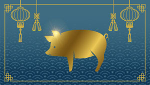 Cochon - Douzième signe de l'astrologie chinoise