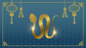 Serpent - Sixième signe de l'astrologie chinoise